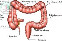 <a href="/benh-pho-bien/benh-tieu-hoa/dai-truc-trang" title="Đại trực tràng" rel="dofollow">Đại trực tràng</a>