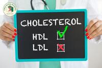 <a href="/benh-pho-bien/roi-loan-chuyen-hoa-lipid" title="Rối loạn chuyển hóa lipid" rel="dofollow">Rối loạn chuyển hóa lipid</a>