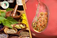 <a href="/kho-bau-duoc-lieu/bai-thuoc-dan-gian" title="NHỮNG BÀI THUỐC QUÝ" rel="dofollow">NHỮNG BÀI THUỐC QUÝ</a>