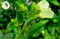 <a href="/kien-thuc-ngay-nay/dinh-duong" title="Dinh dưỡng" rel="dofollow">Dinh dưỡng</a>