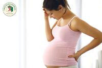 <a href="/benh-pho-bien" title="Bệnh phổ biến" rel="dofollow">Bệnh phổ biến</a>