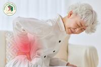 <a href="/benh-pho-bien" title="Bệnh phổ biến" rel="dofollow">Bệnh phổ biến</a>