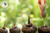 <a href="/kien-thuc-ngay-nay/dinh-duong" title="Dinh dưỡng" rel="dofollow">Dinh dưỡng</a>