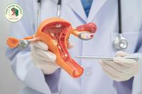 <a href="/benh-pho-bien" title="Bệnh phổ biến" rel="dofollow">Bệnh phổ biến</a>