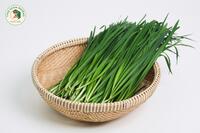 <a href="/kho-bau-duoc-lieu" title="Kho báu dược liệu" rel="dofollow">Kho báu dược liệu</a>