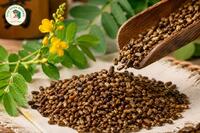 <a href="/kho-bau-duoc-lieu/cay-thuoc-vi-thuoc" title="Cây thuốc - Vị thuốc" rel="dofollow">Cây thuốc - Vị thuốc</a>