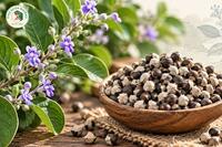 <a href="/kho-bau-duoc-lieu" title="Kho báu dược liệu" rel="dofollow">Kho báu dược liệu</a>