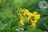 <a href="/benh-pho-bien/benh-tieu-hoa/dai-truc-trang" title="Đại trực tràng" rel="dofollow">Đại trực tràng</a>