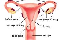 <a href="/benh-pho-bien/san-phu-khoa" title="Sản phụ khoa" rel="dofollow">Sản phụ khoa</a>