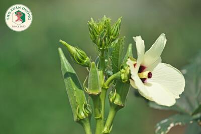 <a href="/kien-thuc-moi-ngay?menuId=Article.News" title="Kiến thức mỗi ngày" rel="dofollow">Kiến thức mỗi ngày</a>