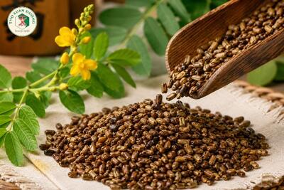 <a href="/kho-bau-duoc-lieu/cay-thuoc-vi-thuoc" title="Cây thuốc - Vị thuốc" rel="dofollow">Cây thuốc - Vị thuốc</a>
