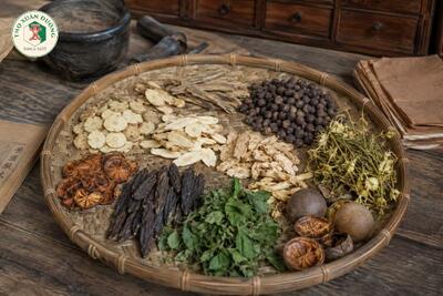 <a href="/kho-bau-duoc-lieu/cay-thuoc-vi-thuoc" title="Cây thuốc - Vị thuốc" rel="dofollow">Cây thuốc - Vị thuốc</a>