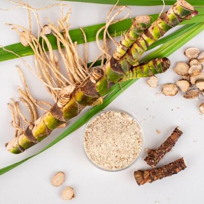 <a href="/kho-bau-duoc-lieu" title="Kho báu dược liệu" rel="dofollow">Kho báu dược liệu</a>