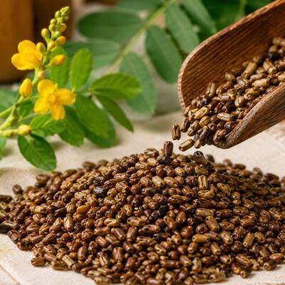 <a href="/kho-bau-duoc-lieu" title="Kho báu dược liệu" rel="dofollow">Kho báu dược liệu</a>