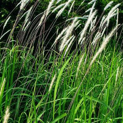 <a href="/kho-bau-duoc-lieu" title="Kho báu dược liệu" rel="dofollow">Kho báu dược liệu</a>