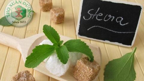 SKĐS-Cỏ ngọt Stevia – thực phẩm cho người tiểu đường