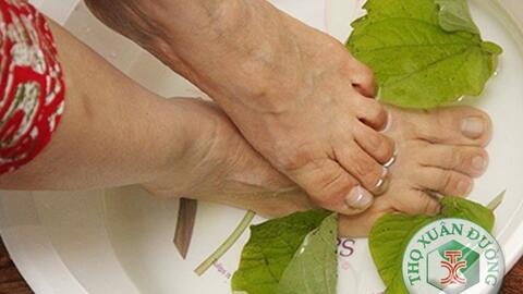 Mách bạn cách sử dụng thảo dược ngâm chân phòng trị bệnh hiệu quả