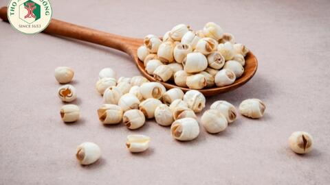 Hạt sen và những lợi ích cho sức khỏe của con người
