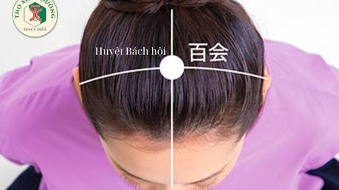 Huyệt bách hội và những ứng dụng lâm sàng