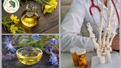 Dầu hoa anh thảo và dầu cây lưu ly trong điều trị bệnh thấp khớp