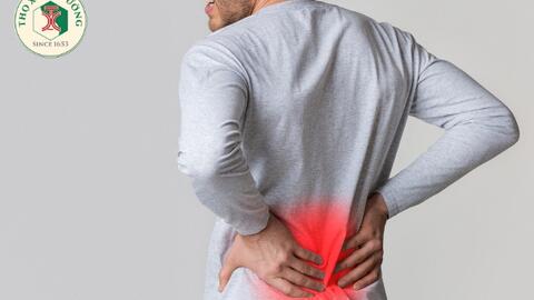 Vai trò của thoát vị đĩa đệm và rách vòng xơ trong đau lưng dưới