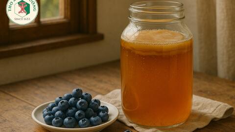 Tự làm kombucha việt quất