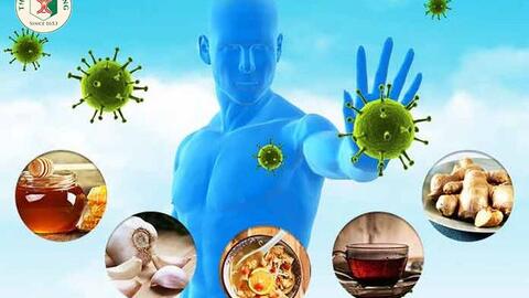 Thảo dược tăng cường miễn dịch chống lại virus hiệu quả