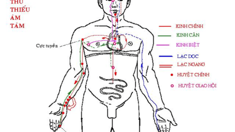 Kinh thủ thiếu âm tâm