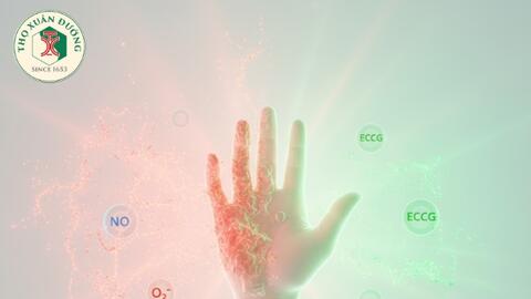 Vai trò của nitric oxide và chất chống oxy hóa trong xơ hóa của bệnh xơ cứng hệ thống