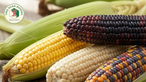 Dinh dưỡng và lợi ích của ngô