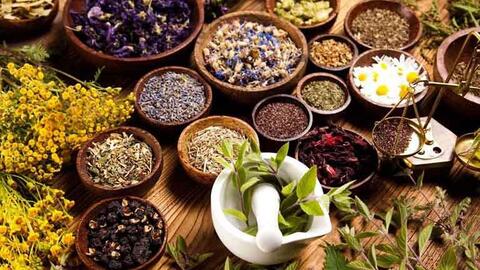 Thực phẩm độc hại, hóa chất, thuốc trừ sâu: Kẻ giết giống nòi vô hình