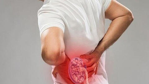 Thận tinh: Nguồn gốc của sự sống