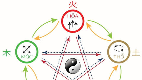 Ngũ tạng và sinh lực: Nam y nhìn lại gốc sinh sản của con người