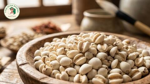 Tiềm năng của ý dĩ trong y học