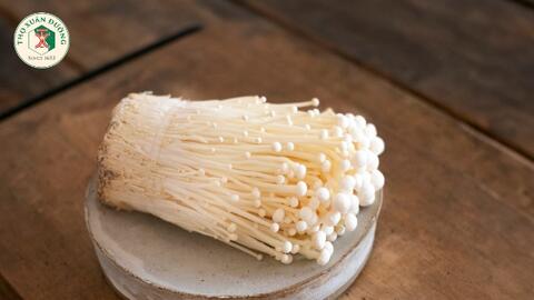 Giá trị dinh dưỡng và tiềm năng dược lý của nấm kim châm