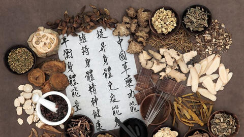 Tinh hóa tủy, tủy sinh não: Khi minh triết Nam y gặp di truyền học hiện đại