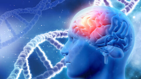 Tinh dịch, nội tiết và sức khỏe não bộ