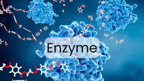 Tế bào gốc và enzyme – Tương lai phục hồi nòi giống từ gốc tế bào