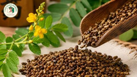 Tiềm năng dược lý của hạt muồng
