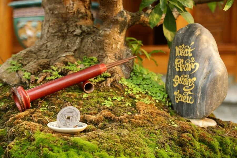 dong-tien-nhat-pham-duong-trieu