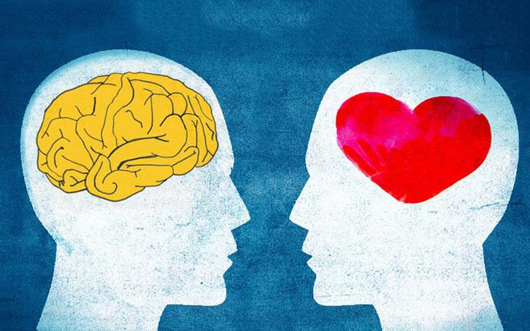 tri-tue-cam-xuc-va-doi-song-tinh-duc-ben-vung-2