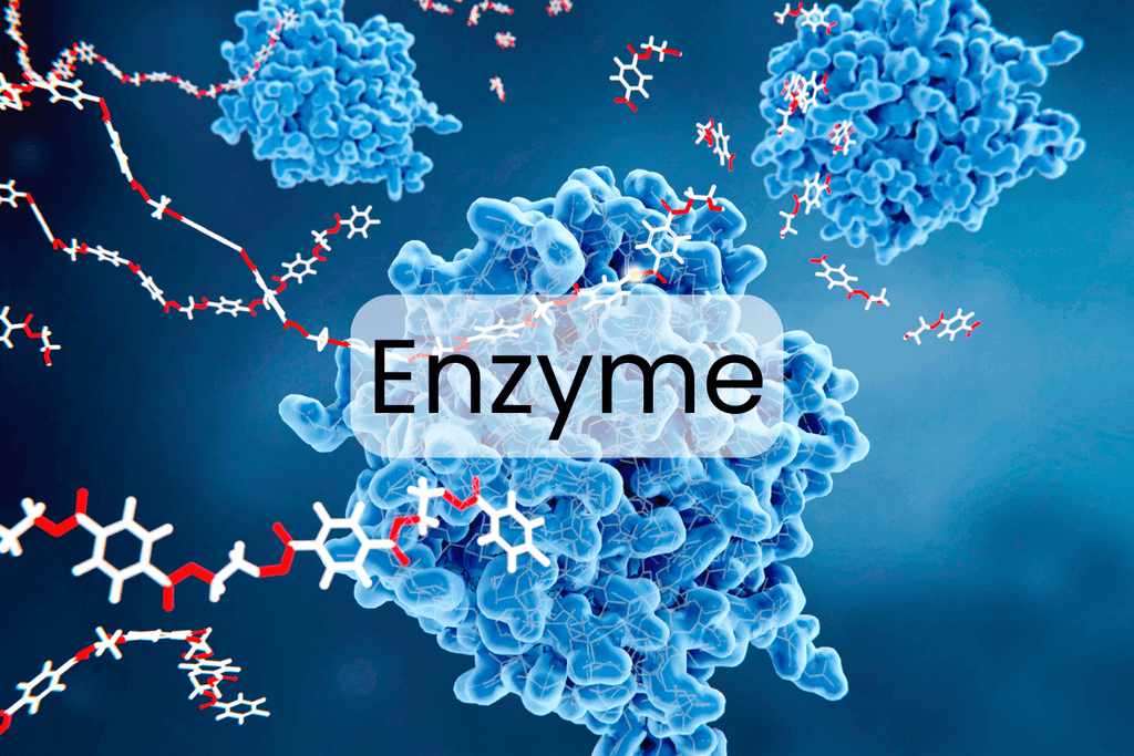 te-bao-goc-va-enzyme-tuong-lai-phuc-hoi-noi-giong-tu-goc-te-bao-3