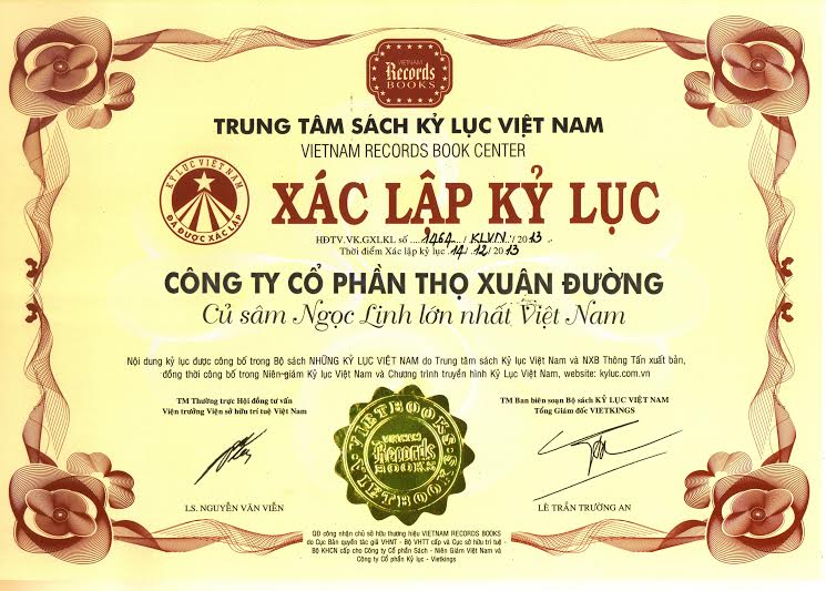 Sâm ngọc linh, sam ngoc linh, kỷ lục Việt về củ sâm Ngọc Linh lớn nhất. củ sâm lớn nhất